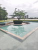 listing thumbnail image 19