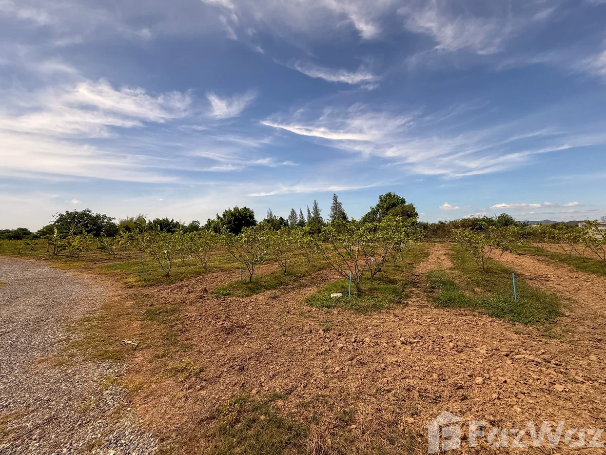 รูป ขาย บ้านเดี่ยว 2 ห้องนอน ใน ทับใต้, ประจวบคีรีขันธ์ 6393577 - รูปที่ 5/34