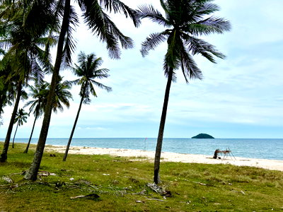 Land for rent : LAND FOR LEASE - BEACHFRONT NEAR SAKOM BEACH & KHAO LON HILL VIEWPOINT, THEPHA SONGKHLA