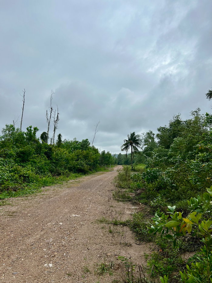 picture LAND FOR LEASE - BEACHFRONT NEAR SAKOM BEACH & KHAO LON HILL VIEWPOINT, THEPHA SONGKHLA - 8/15