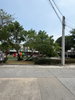listing thumbnail image 15