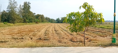 ที่ดิน พนัสนิคม ชลบุรี : ขายที่ดิน7ไร่ตำบลหน้าพระธาตุ ( แบ่งได้ )