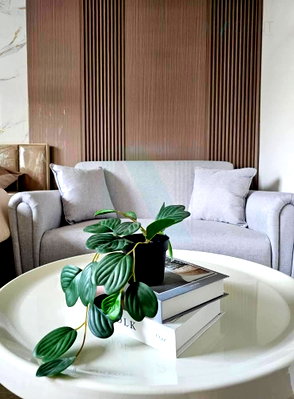 Condos for rent : 🎉 For Rent Condo ELIO DEL RAY Building F, Floor 4,Studio, Room size 24 sqm