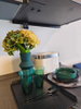 listing thumbnail image 13
