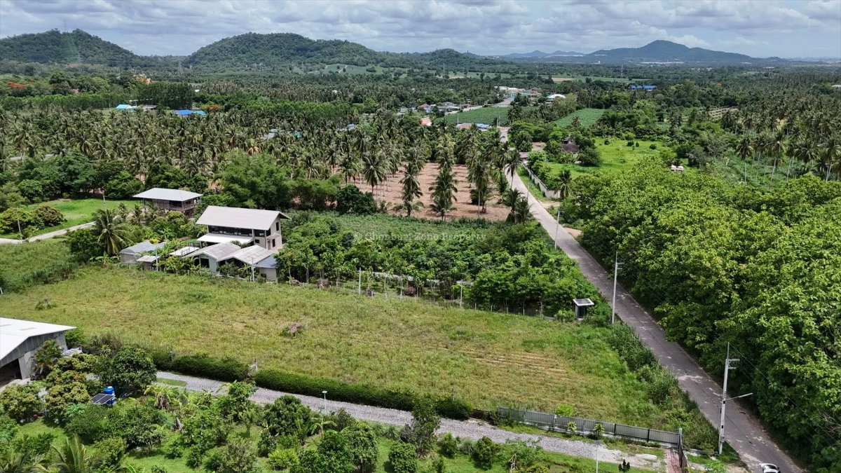 รูป ขายที่ดินวิวภูเขา 1.5 ไร่ ธรรมชาติมาก โค้งดารา ศรีราชา - รูปที่ 6/16