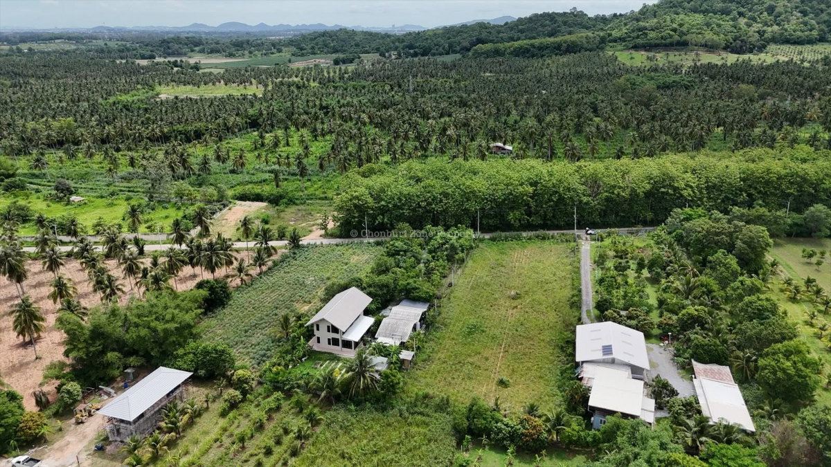 รูป ขายที่ดินวิวภูเขา 1.5 ไร่ ธรรมชาติมาก โค้งดารา ศรีราชา - รูปที่ 8/16