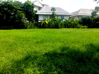 ที่ดิน วิทยาลัยทองสุข : ขายที่ดินแปลงสวย ติดถนนบรมราชชนนี ม.โนเบิลวานา
