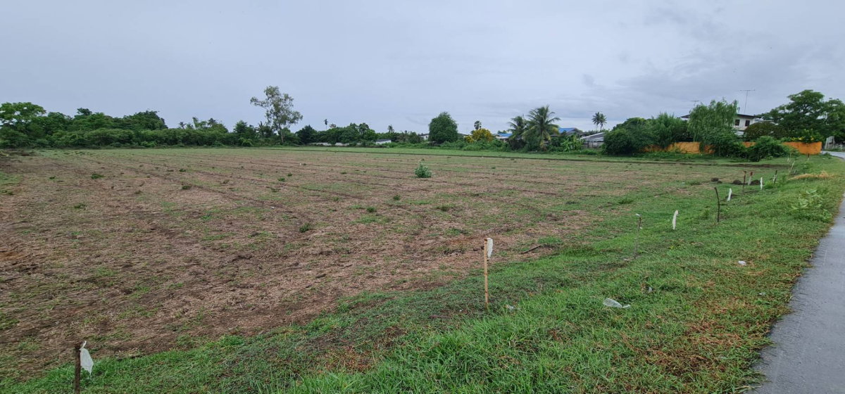 รูป ขาย ที่ดิน ต.ปากแรต อ.บ้านโป่ง จ.ราชบุรี  - รูปที่ 2/4
