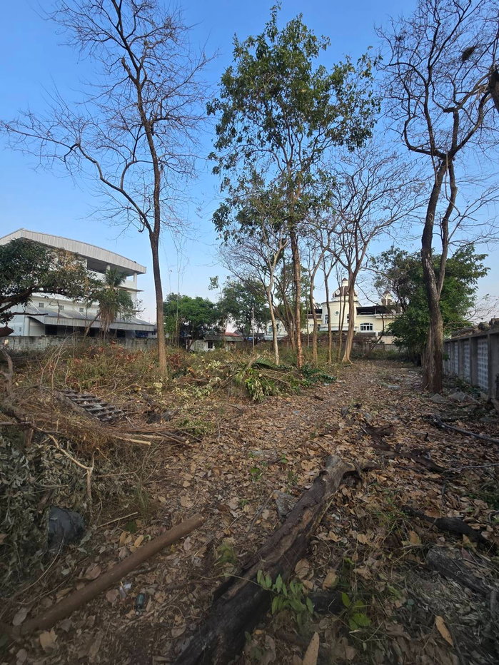 รูป ขายที่ดิน พัฒนาการ 20 แยก 8 เนื้อที่ 3-1-37 ไร่ ทำเลศักยภาพ ใจกลางเมือง - รูปที่ 6/12