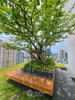 listing thumbnail image 11