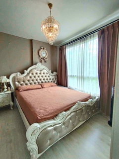 รูปภาพ ปล่อยเช่า D Condo sign ติดเซนเฟส , ใกล้ ม.พายัพ , นิมมาน  , เมญ่า
