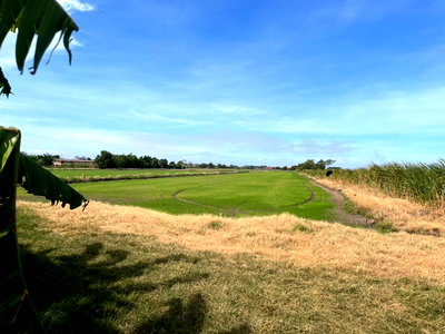 Land for sale Muang Chachoengsao Chachoengsao : Land for Sale in Khlong Preng, Mueang Chachoengsao District  🌿 Land area: 14 Rai 53 Sq.wah  Free bonus land: 3 Rai included Price negotiable