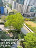 listing thumbnail image 7