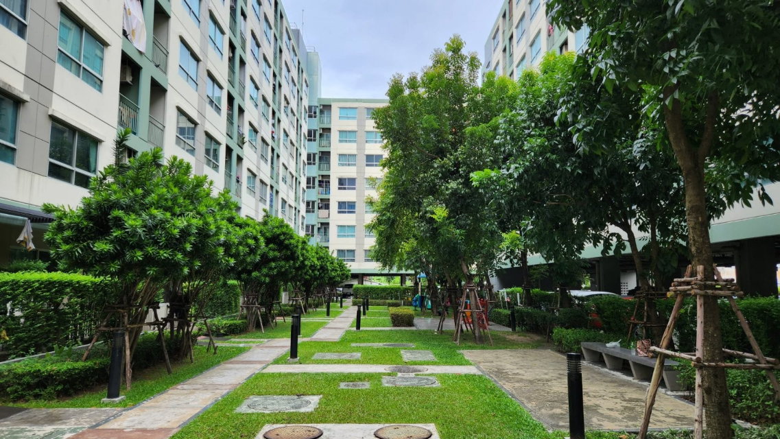 รูป ห้องขนาด 26.12 ตร.ม. เพียง 1.29 ล้าน (เจ้าของขายเอง) ลุมพินี วิลล์ อ่อนนุช 46 อาคาร C1 ชั้น6 หันทิศใต้ วิวสวน มีเครื่องซักผ้า - รูปที่ 14/20