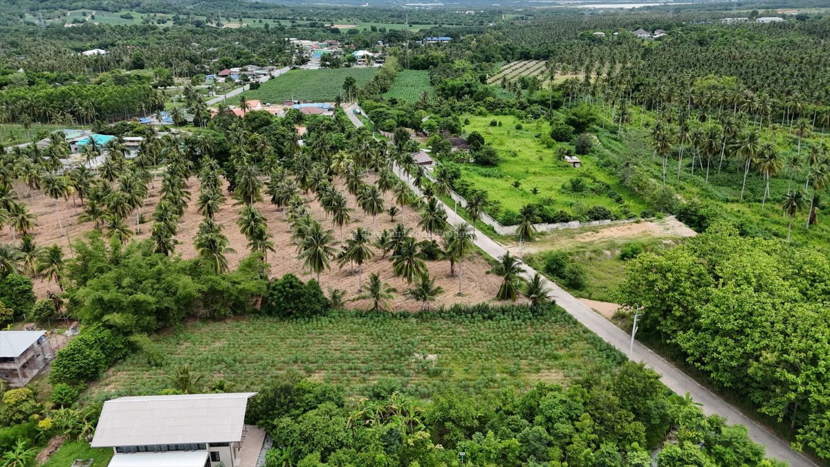 รูป ขายที่ดินวิวภูเขา 1.5 ไร่ ธรรมชาติมาก โค้งดารา ศรีราชา - รูปที่ 7/16