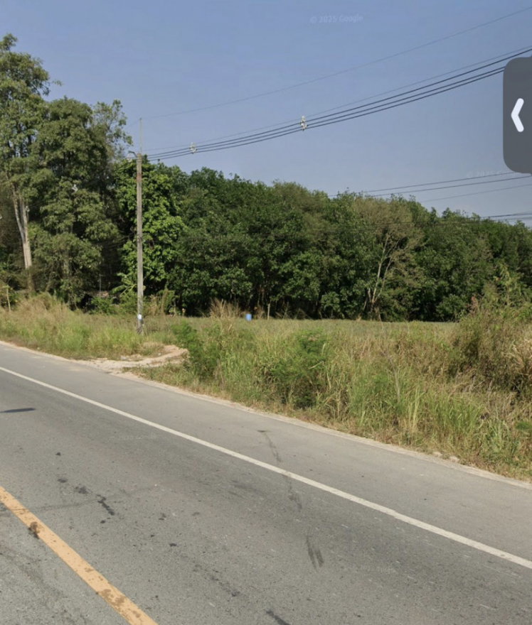 รูป ขายที่ดินผังม่วงลาย นิคมพัฒนา ระยอง เนื้อที่ 23 ไร่ 3 งาน 86 ตร.วา - รูปที่ 3/6
