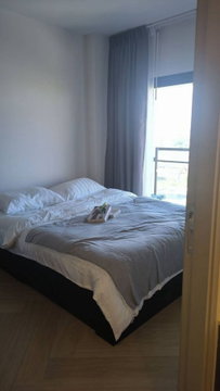 For Rent Modiz Collection Bangpho Unit 259/24 (Mrt BangPho)