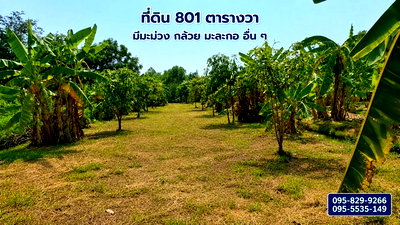 ที่ดิน นิคมอุตสาหกรรม​บางกะดี : ขายที่ดินถมแล้ว 2-0-01ไร่ โครงการ Wellness City (เวลเนสซิตี้) เพื่อการพักวัยเกษียณ ใกล้ถนนปทุมธานี-สามโคก-เสนา (ทล.3111)อ.บางไทร จ.อยุธยา