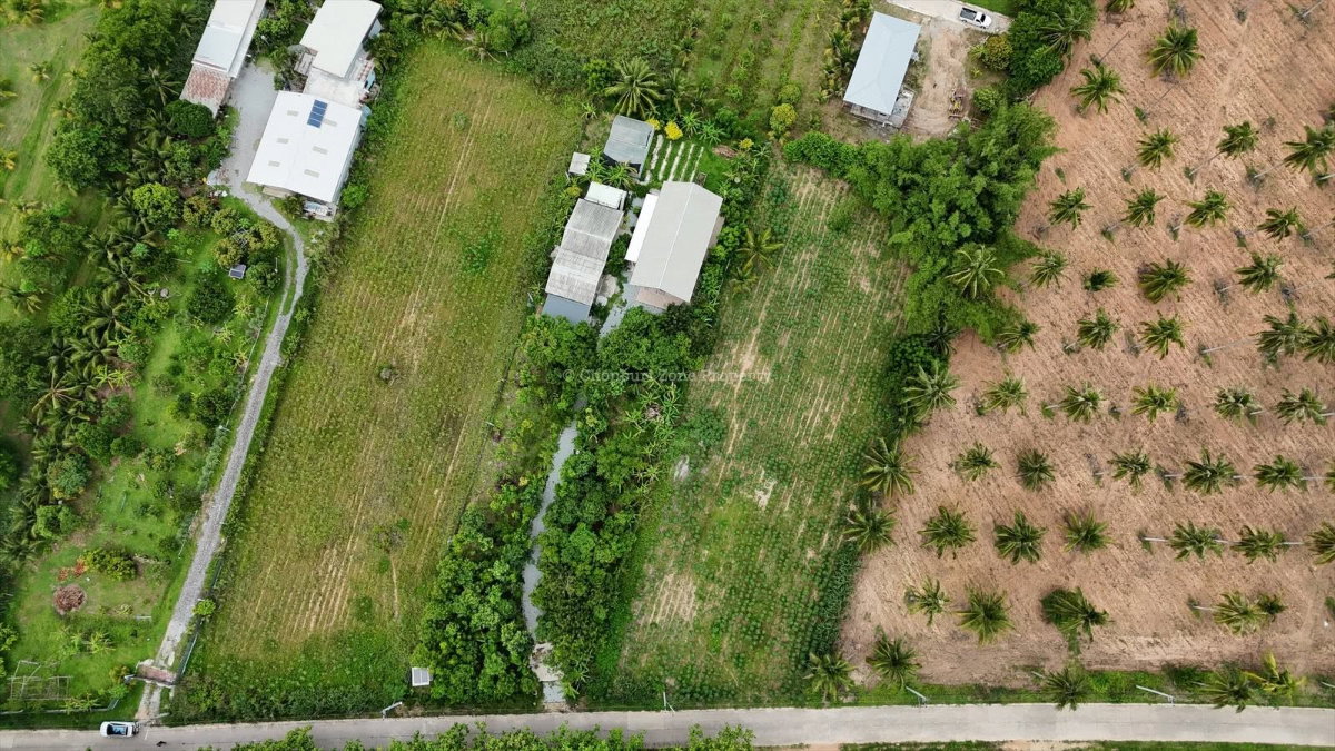 รูป ขายที่ดินวิวภูเขา 1.5 ไร่ ธรรมชาติมาก โค้งดารา ศรีราชา - รูปที่ 15/16