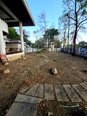 ที่ดิน ทรู ทาวเวอร์ พัฒนาการ : ขายที่ดิน พัฒนาการ 20 แยก 8 เนื้อที่ 3-1-37 ไร่ ทำเลศักยภาพ ใจกลางเมือง