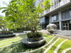 listing thumbnail image 14