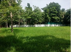 รูป ขายที่ดินแปลงสวย ติดถนนบรมราชชนนี ม.โนเบิลวานา - รูปที่ 2/4