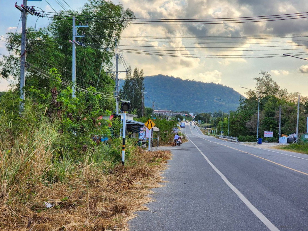 รูป ขายที่ดินผังม่วงลาย นิคมพัฒนา ระยอง เนื้อที่ 23 ไร่ 3 งาน 86 ตร.วา - รูปที่ 6/6