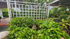 listing thumbnail image 13