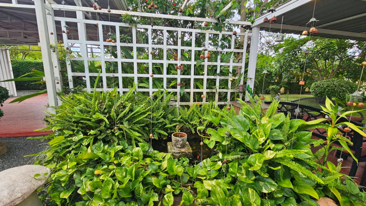 รูป R-133 ✨ บ้านสวนสไตล์รีสอร์ท บรรยากาศธรรมชาติ 🐶 รับสัตว์เลี้ยง (สุนัข) 📍 อำเภอดอยสะเก็ด เชียงใหม่ 🌿 บ้านที่ให้ความรู้สึกเหมือนได้พักผ่อนทุกวัน - รูปที่ 14/61