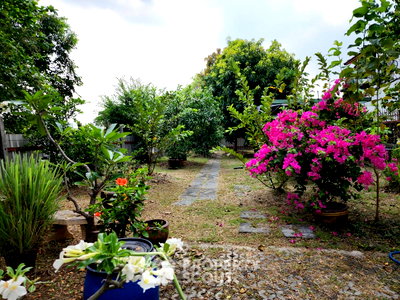 ขายที่ดิน : ที่ดินสำหรับปล่อยขาย 480 ตารางเมตร แถว ใกล้ ท่าอากาศยานสุวรรณภูมิ (ID 3022597)