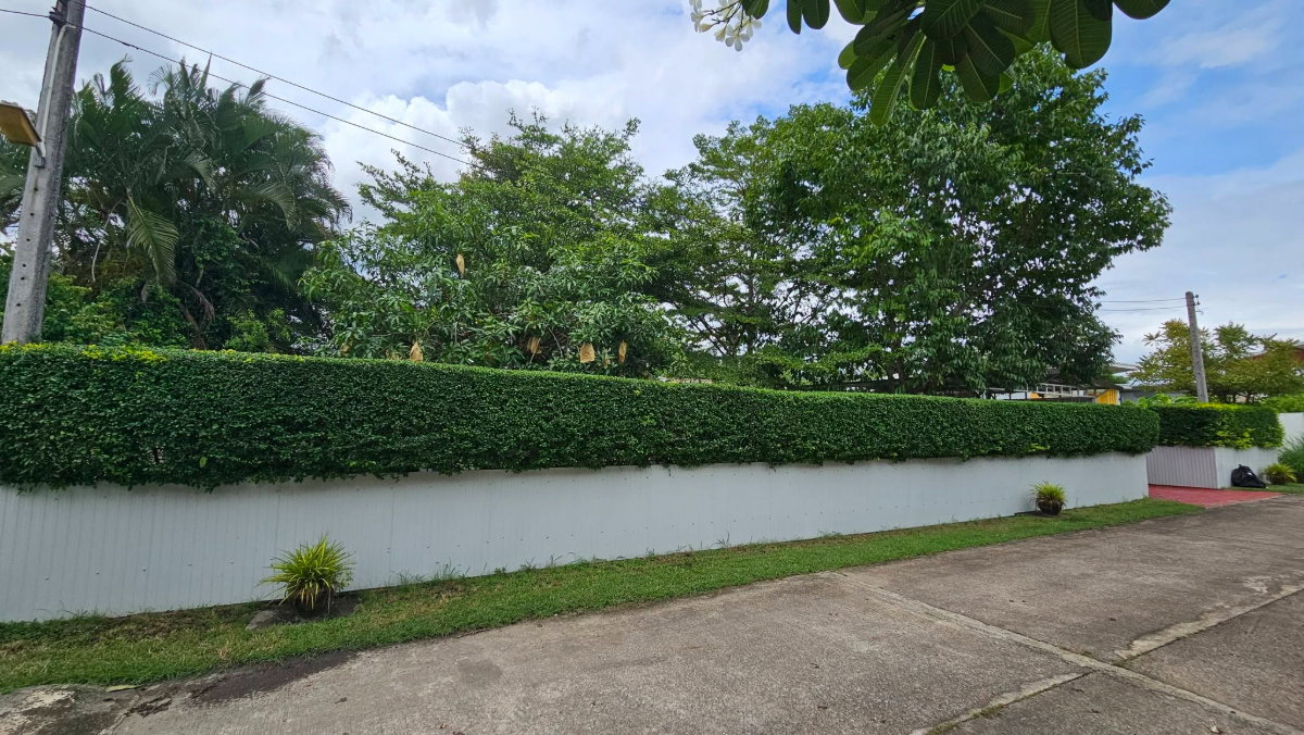 รูป R-133 ✨ บ้านสวนสไตล์รีสอร์ท บรรยากาศธรรมชาติ 🐶 รับสัตว์เลี้ยง (สุนัข) 📍 อำเภอดอยสะเก็ด เชียงใหม่ 🌿 บ้านที่ให้ความรู้สึกเหมือนได้พักผ่อนทุกวัน - รูปที่ 36/61