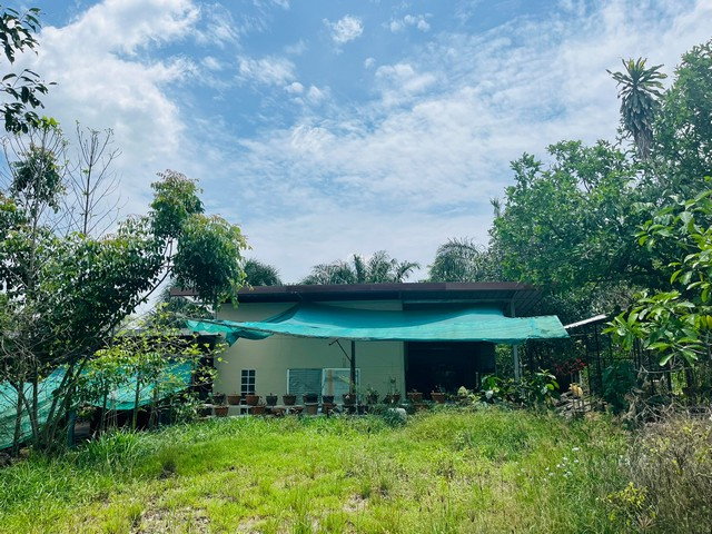 picture FOR SALE  HOUSE PROPERTY  3330000 BAHT. - 2/8