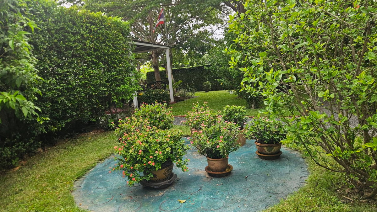 รูป R-133 ✨ บ้านสวนสไตล์รีสอร์ท บรรยากาศธรรมชาติ 🐶 รับสัตว์เลี้ยง (สุนัข) 📍 อำเภอดอยสะเก็ด เชียงใหม่ 🌿 บ้านที่ให้ความรู้สึกเหมือนได้พักผ่อนทุกวัน - รูปที่ 25/61