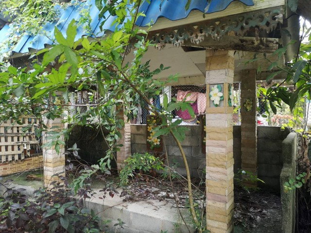 รูป J89875 ขายบ้านเดี่ยว ท่าศาลา อำเภอท่าศาลา นครศรีธรรมราช - รูปที่ 7/8