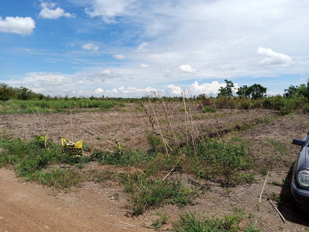 รูป ที่ดินสวนเกษตร 2 ไร่ ไทรน้อย-นนทบุรี ใกล้ ทล.340 (บางบัวทอง-สุพรรณบุรี) เข้า-ออกได้ 2 ด้าน เหมาะสร้างบ้านสวน-โกดัง - รูปที่ 3/6
