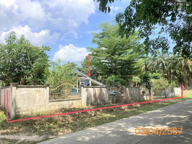 รูป J15444 ขายบ้านเดี่ยว เหนือคลอง อำเภอเหนือคลอง กระบี่ - รูปที่ 2/8
