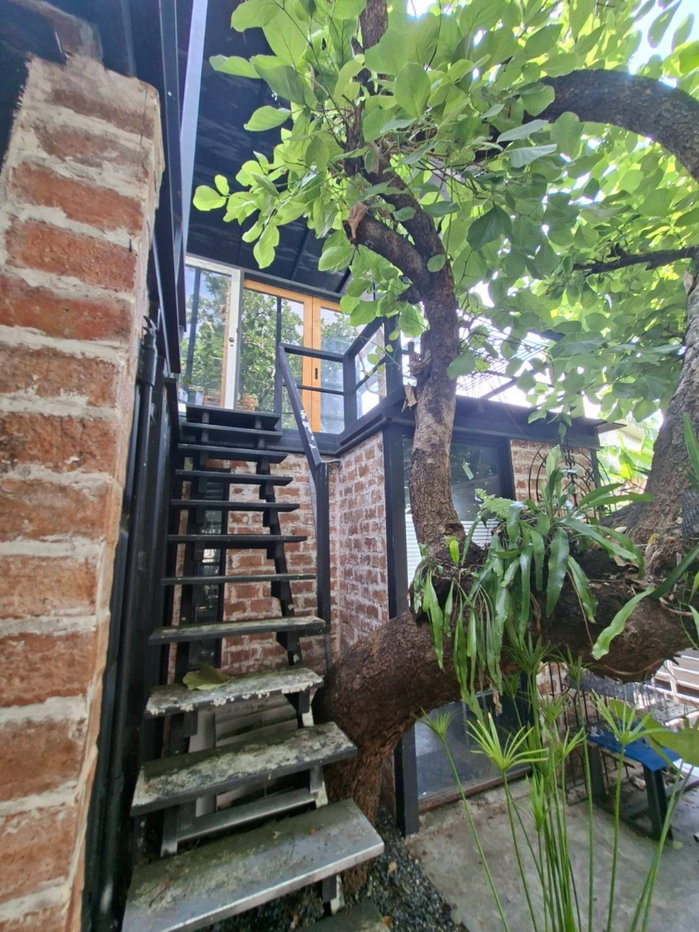 รูป ขายบ้านเดี่ยว 106 วา พร้อมสตูดิโอถ่ายทำละครขนาดเล็ก ใกล้โรงเรียนโสมาภา (นวมินทร์) อยู่ถนนนวมินทร์ 59 แยก 2 แขวงนวมินทร์ เขตบึงกุ่ม กรุงเทพมหานคร - รูปที่ 13/19