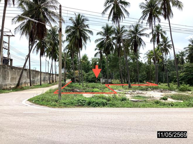 รูป ที่ดินว่างเปล่า 1920 ตร.วา หลังสวน ชุมพร 2.9M - รูปที่ 1/24