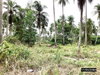 listing thumbnail image 15
