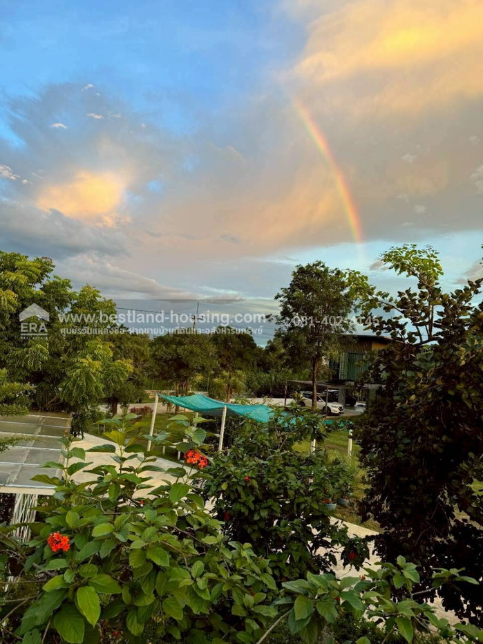 รูป ขายบ้าน 2 ชั้น พร้อมอาคารโรงแพ็คน้ำ อาคารอนกประสงค์ร้านคาเฟ่ สวนตานี อินทผาลัม อำเภอเขาย้อยจังหวัดเพชรบุรี 51 ไร่ 3 งาน 80 ตารางวา - รูปที่ 20/31