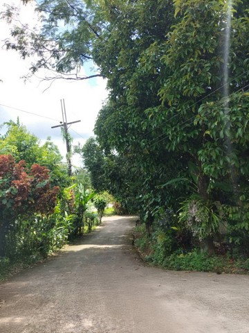 picture FOR SALE HOUSE PROPERTY 1166250 BAHT. - 6/8