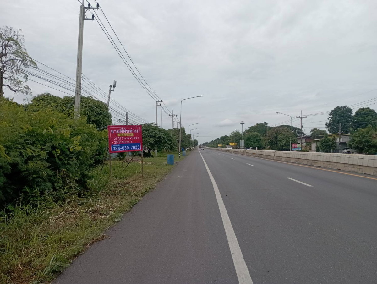 picture for sale 25 Rai 3 Ngan 75 Sq.wah - 4/4