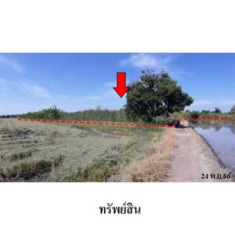 รูป Z1T1460 ขายที่ดิน ตำบล ไทรน้อย อำเภอ ไทรน้อย จังหวัด นนทบุรี - รูปที่ 7/8