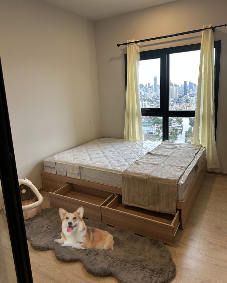 picture Pet Friendly Condo Metris Ekkamai Pattakarn High Floor - 5/13