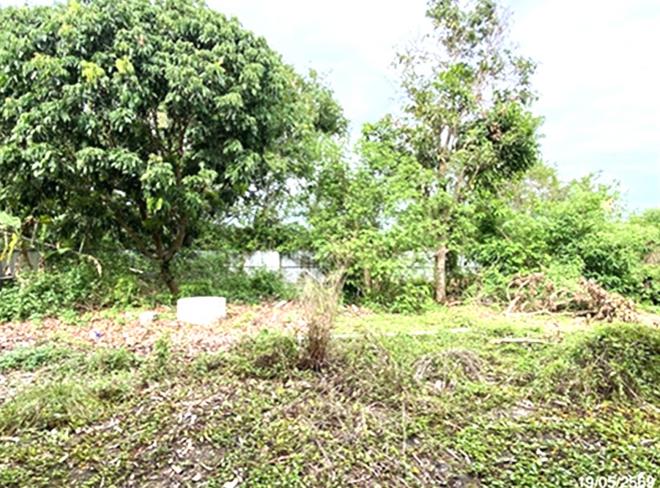 รูป ที่ดินว่างเปล่า 361.9 ตร.วา จะนะ สงขลา 1.5M - รูปที่ 4/24