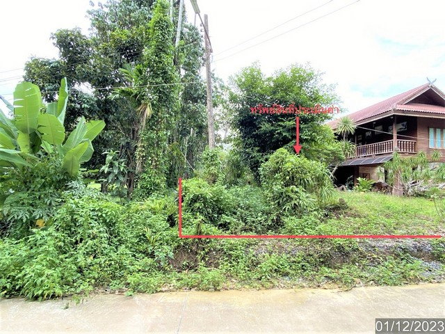 picture FOR SALE HOUSE PROPERTY 5201000 BAHT. - 4/8