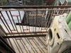 listing thumbnail image 3