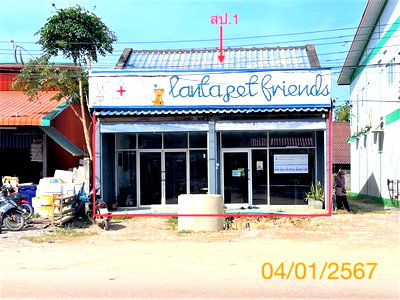 Houses for sale Krabi : FOR SALE  HOUSE PROPERTY  5085000 BAHT.