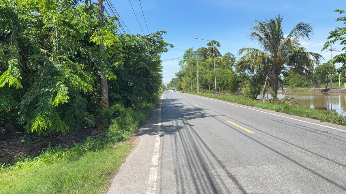 รูป ขายด่วนที่ดิน 29 ไร่  คลองห้า ฝั่งตะวันออก  คลองหลวง ปทุมธานี - รูปที่ 8/10