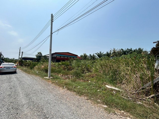 รูป J11493 ขายที่ดินเปล่า ตำบลบางกุ้ง อำเภอเมืองสุราษฎร์ธานี สุราษฎร์ธานี - รูปที่ 8/8